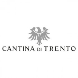Pinot Grigio Vigneti delle Dolomiti IGT