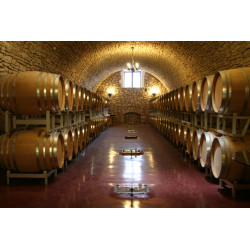 Infinitum Primitivo Puglia IGT Rosso