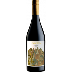 Costacalda Custoza DOC