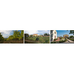 Streda Toscana IGT